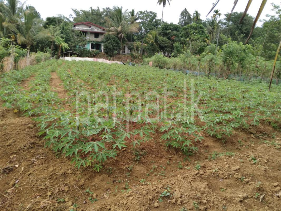 Residential Land for Sale in Gampola