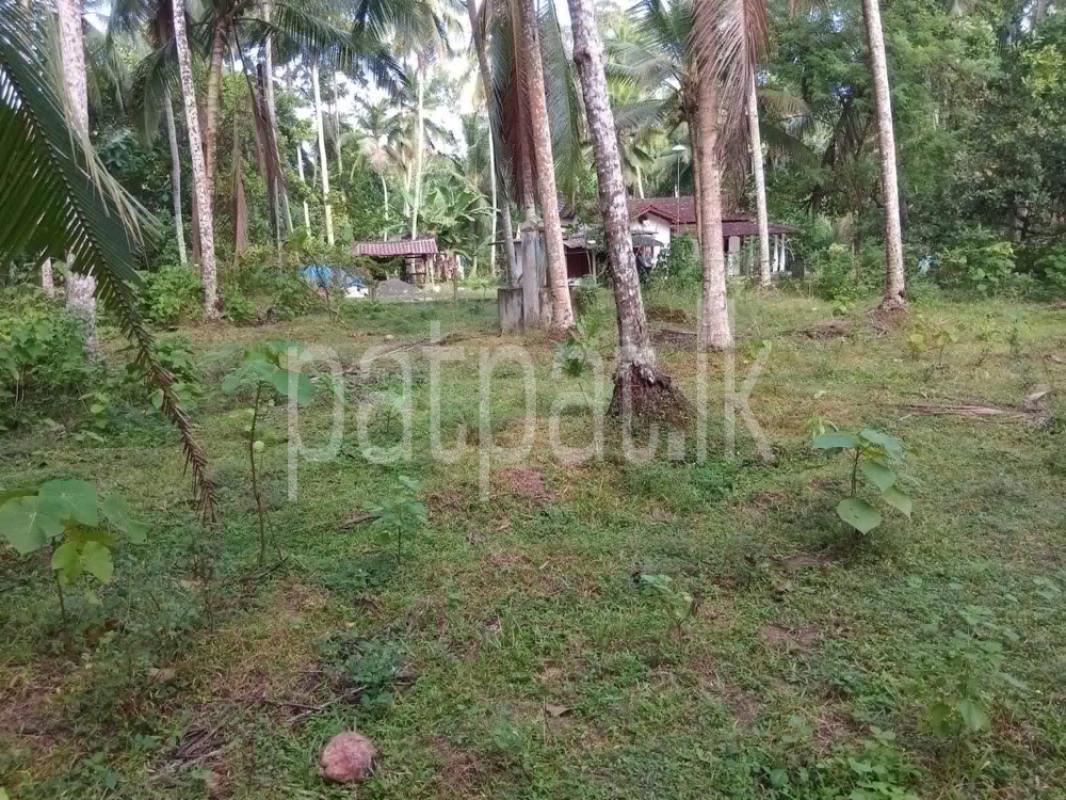 Advertisement image 5