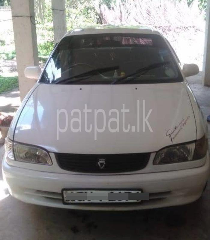 Advertisement image 1