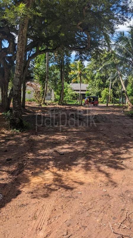 Commercial Land for Rent in Raddolugama
