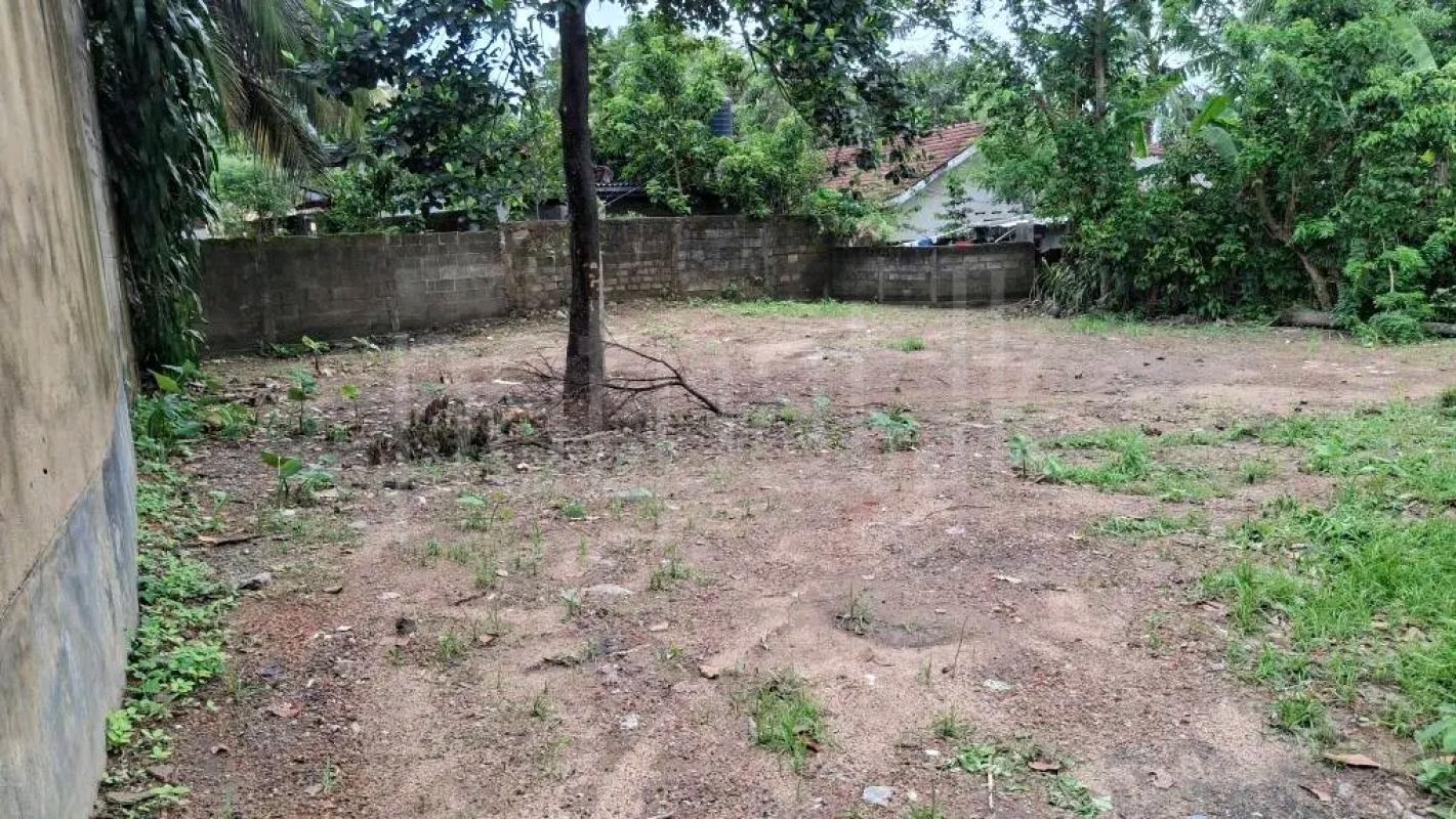 Residential Land for Sale in Akarawita