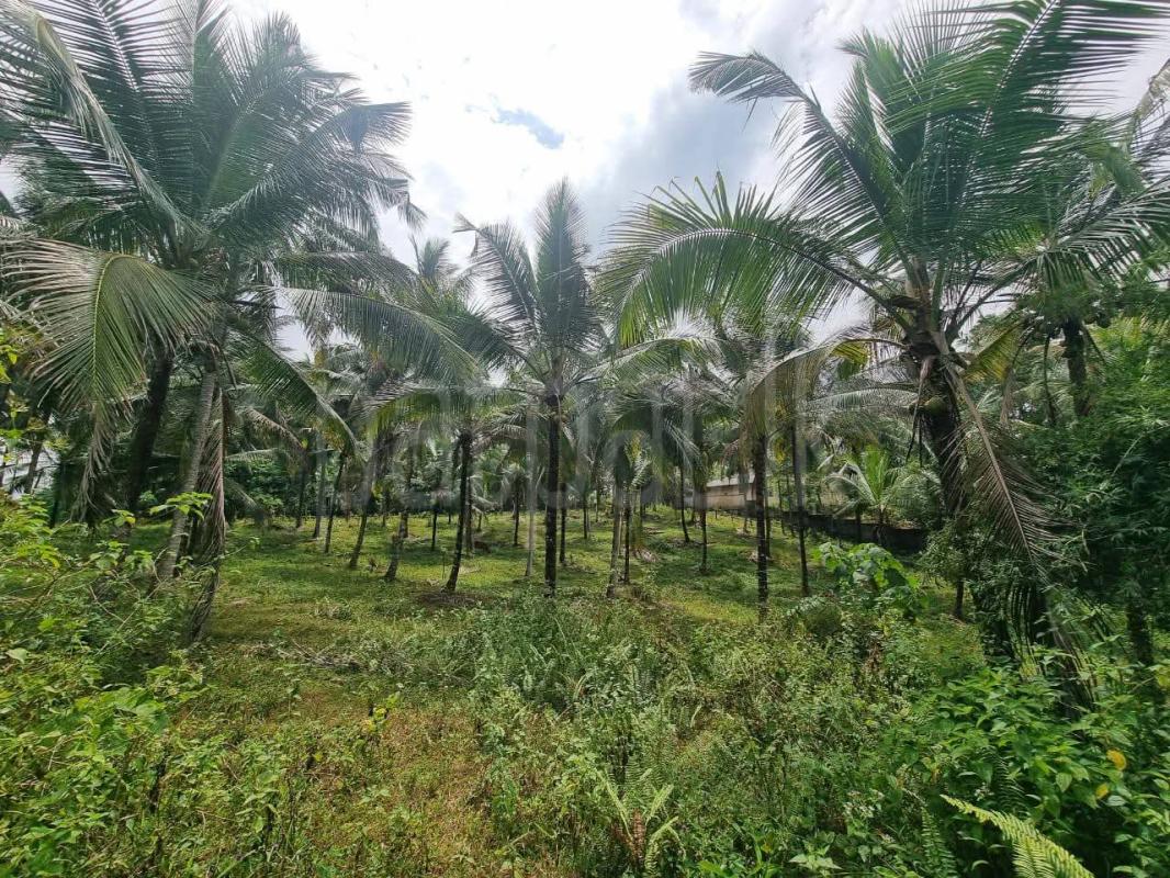 Residential Land for Sale in Kirindiwela
