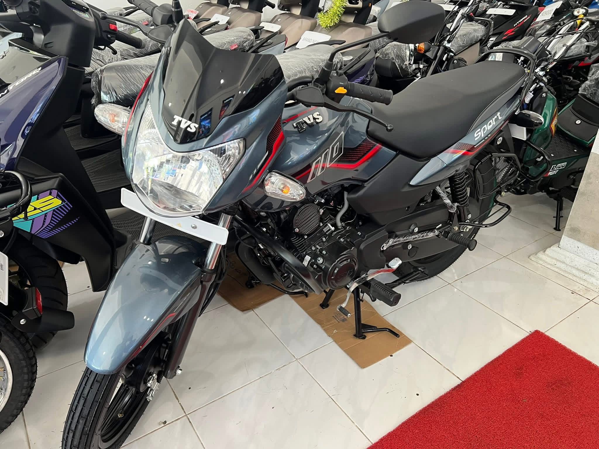 TVS Metro 2026 - Brand New Bike sale in Sri Lanka - patpat.lk