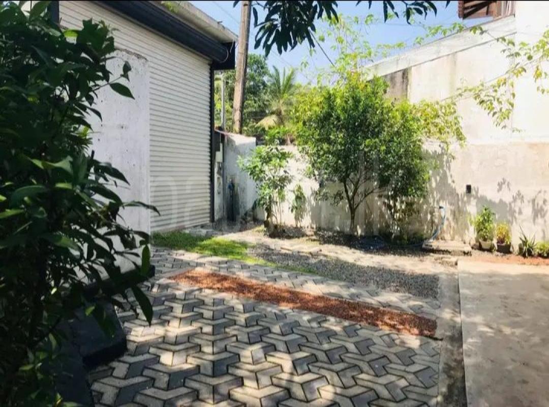 Advertisement image 6