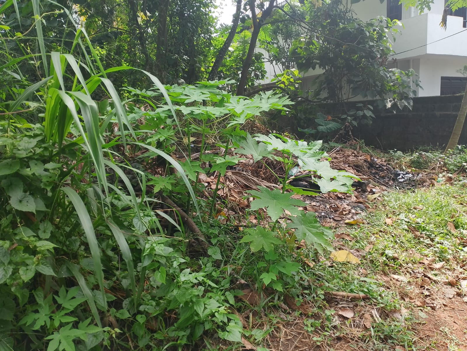 Residential Land for Sale in Panadura