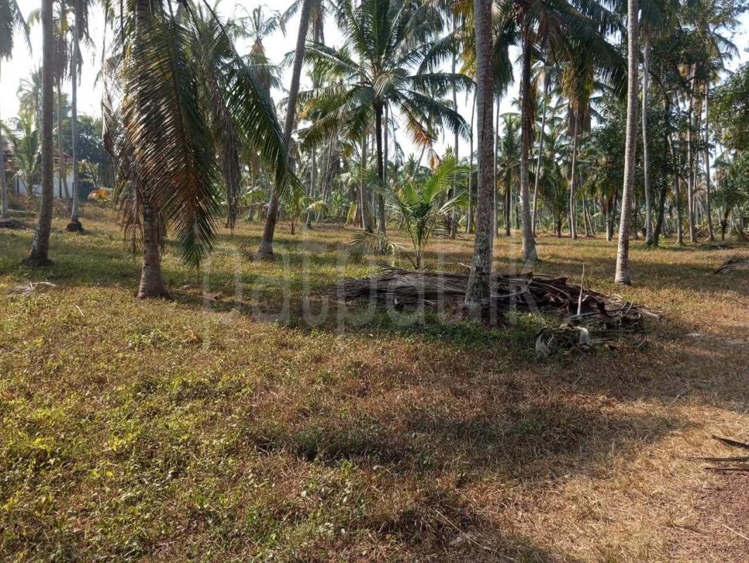 Agricultural Land for Sale in Divulapitiya ads-image-1