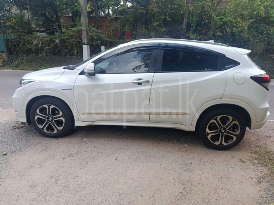 Advertisement image 5