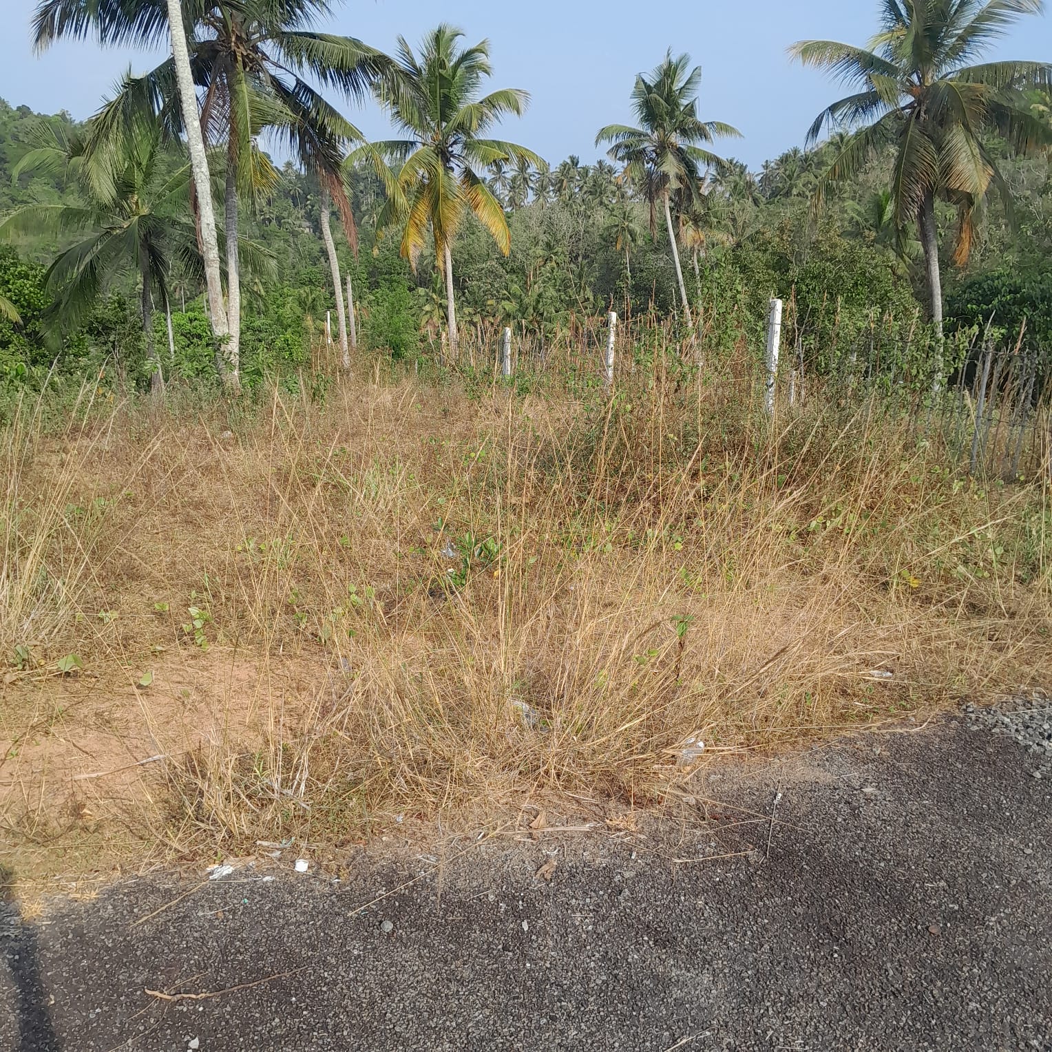 Residential Land for Sale in Kekanadurra