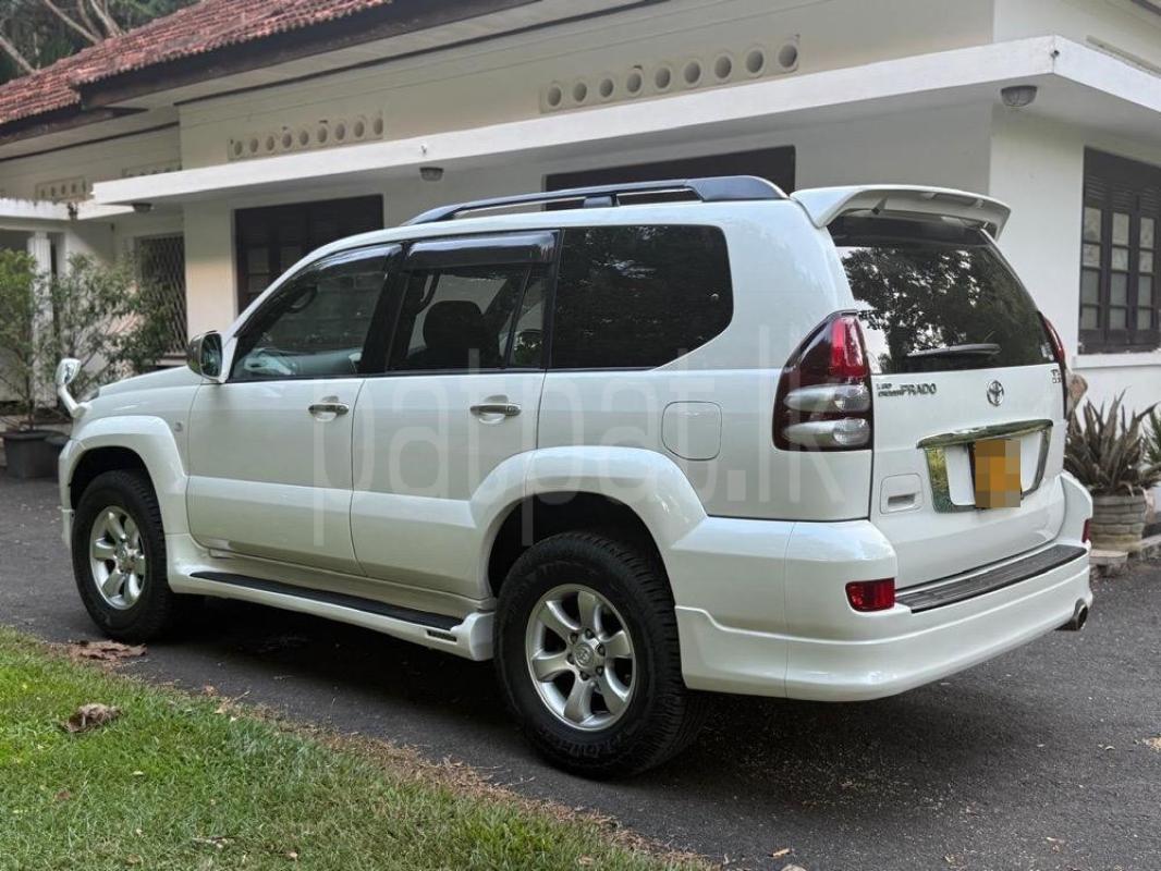 Advertisement image 3