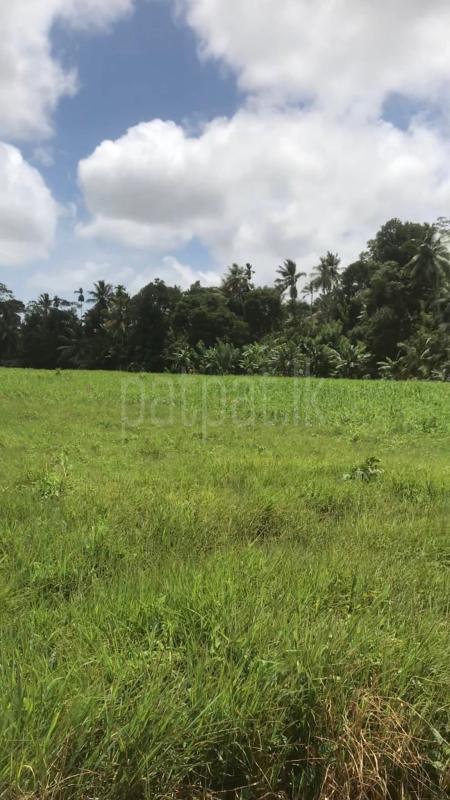Commercial Land for Sale in Unawatuna
