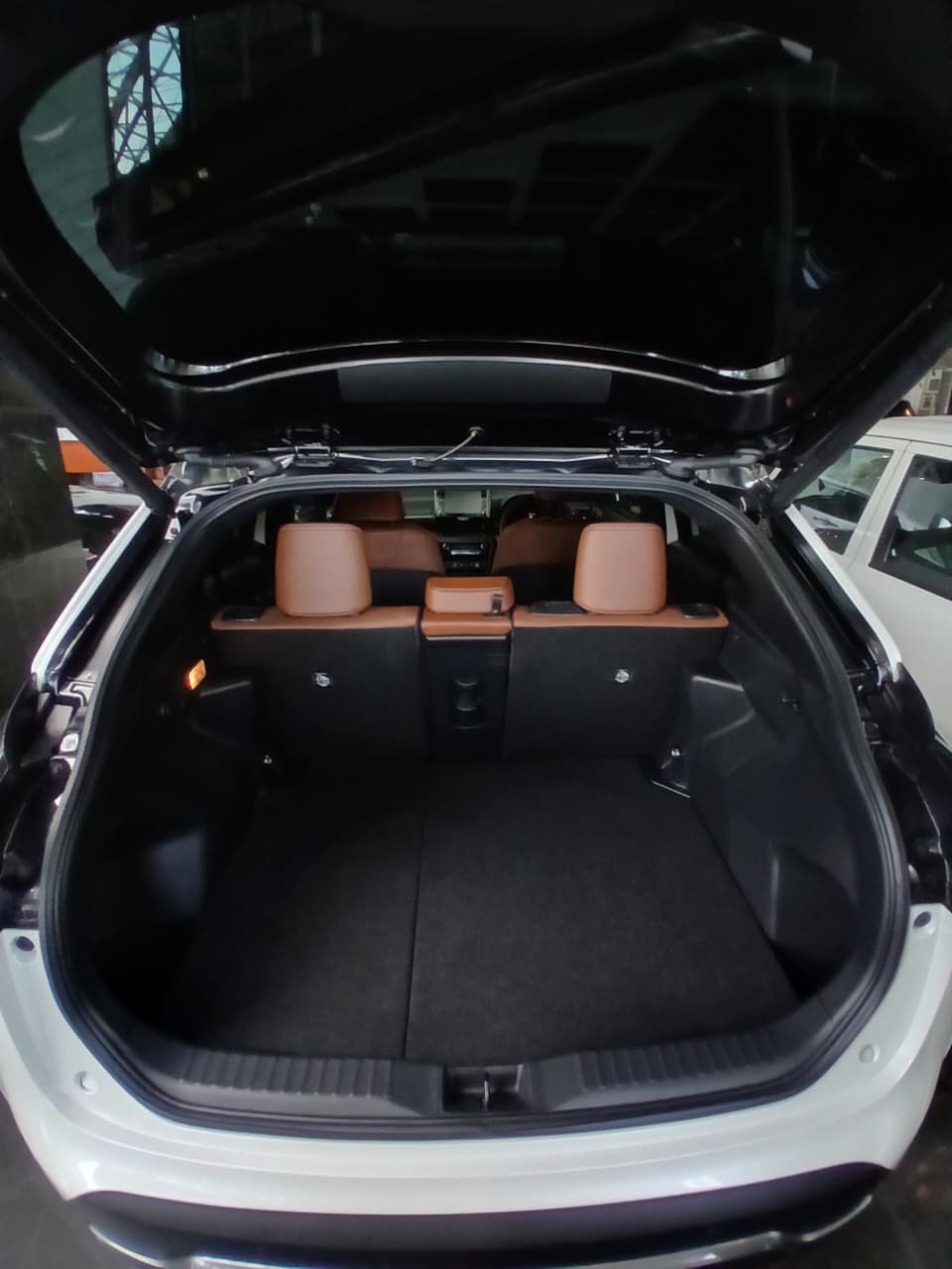 Advertisement image 6