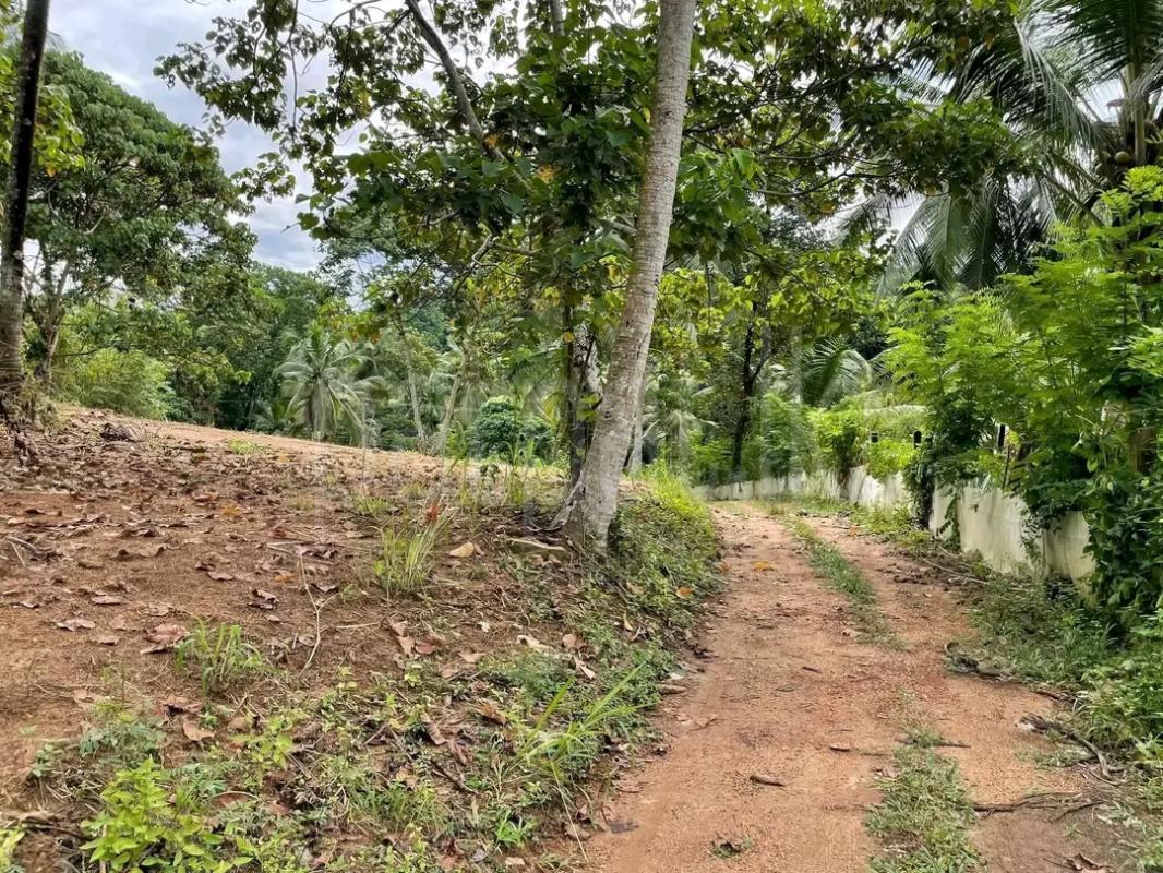 Residential Land for Sale in Mirigama