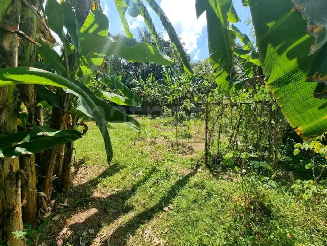 Residential Land for Sale in Wattala