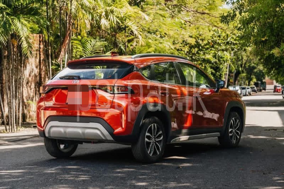 Advertisement image 3