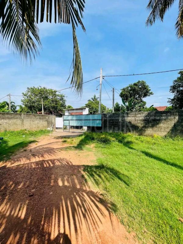 Residential Land for Sale in Wattala