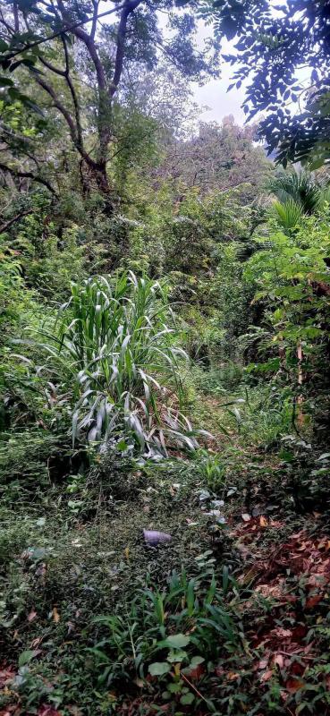 Residential Land for Sale in Kataragama