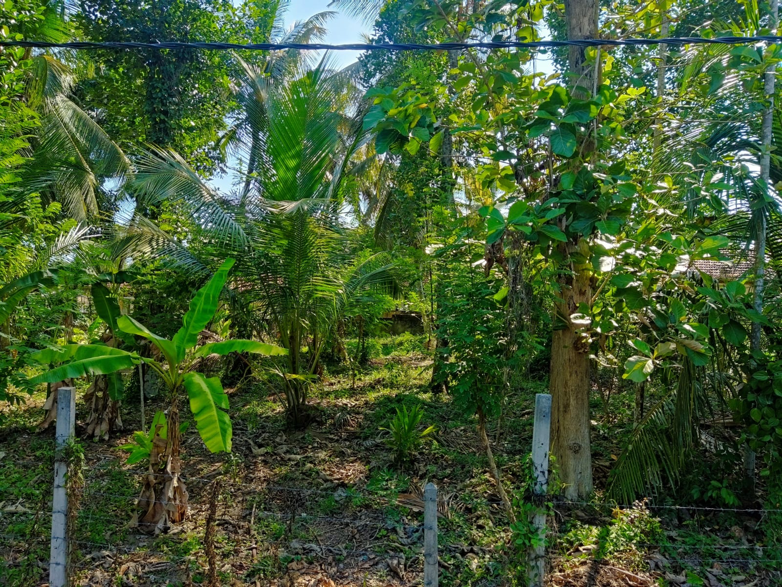 Residential Land for Sale in Panadura