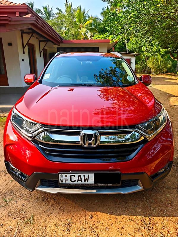 Advertisement image 1