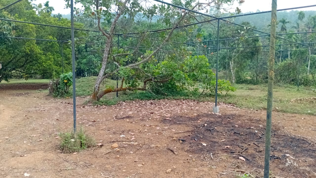 Agricultural Land for Rent in Padukka