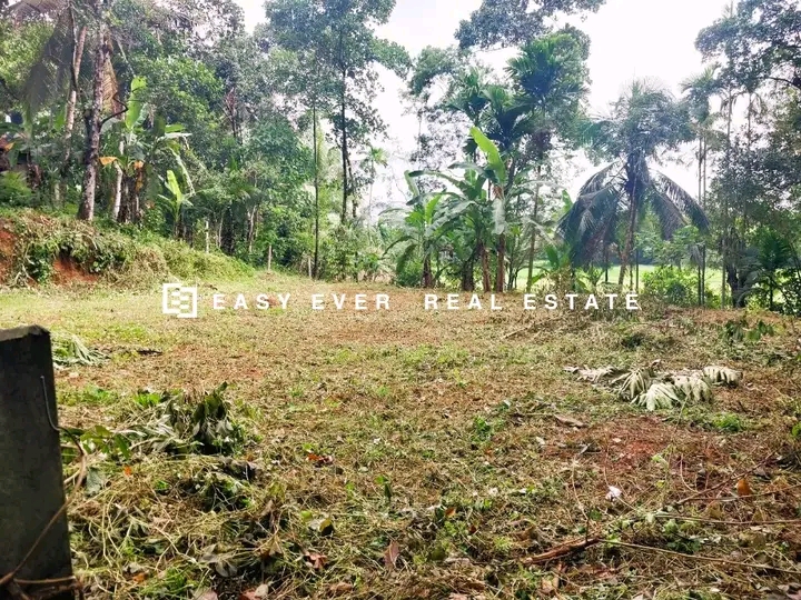 Commercial Land for Sale in Minuwangoda