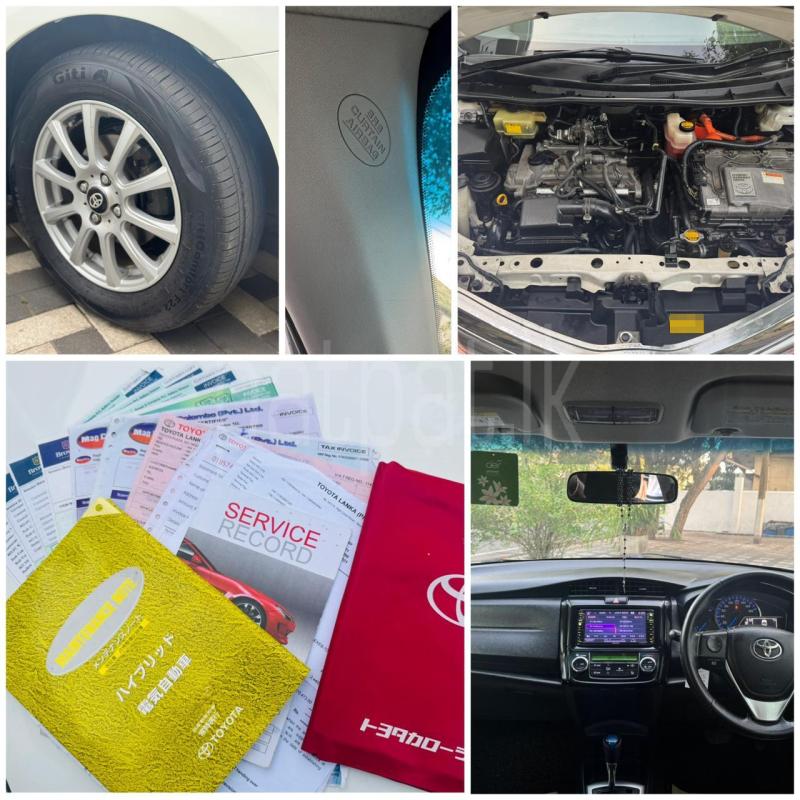 Advertisement image 6