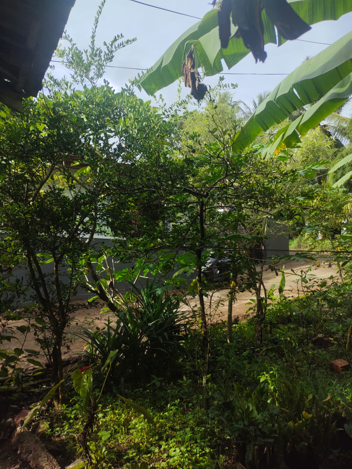 Residential Land for Sale in Athurugiriya