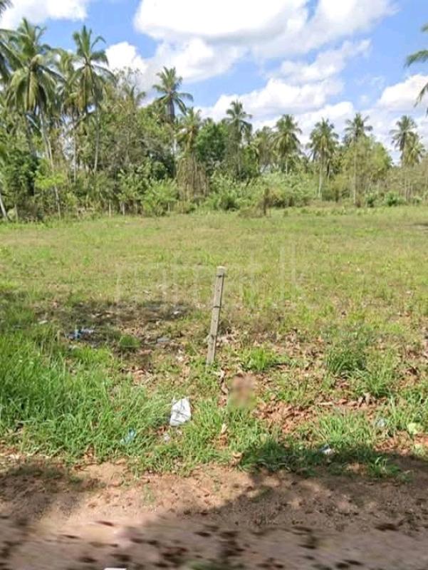 Commercial Land for Sale in Puttalam