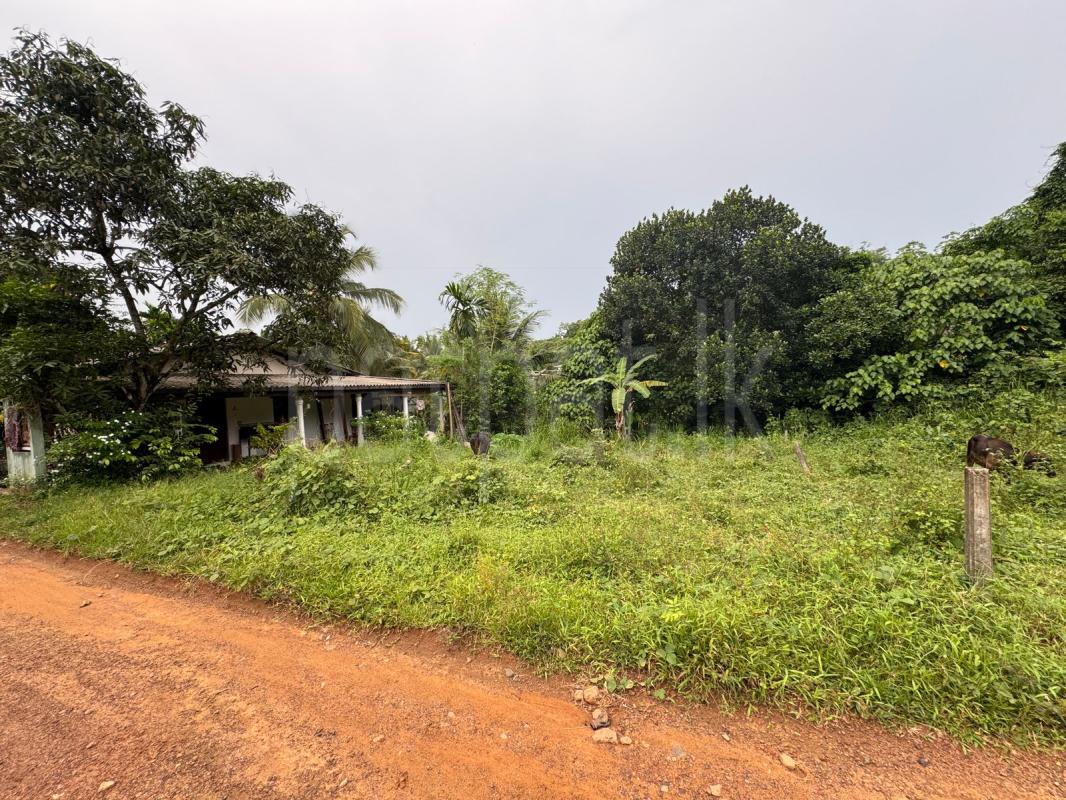 Residential Land for Sale in Kiriwattuduwa ads-image-1