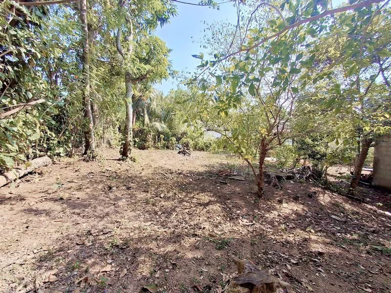 Agricultural Land for Sale in Panadura