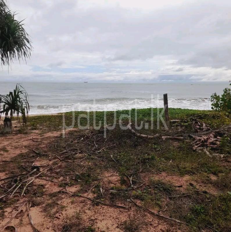 Residential Land for Sale in Weligama ads-image-1
