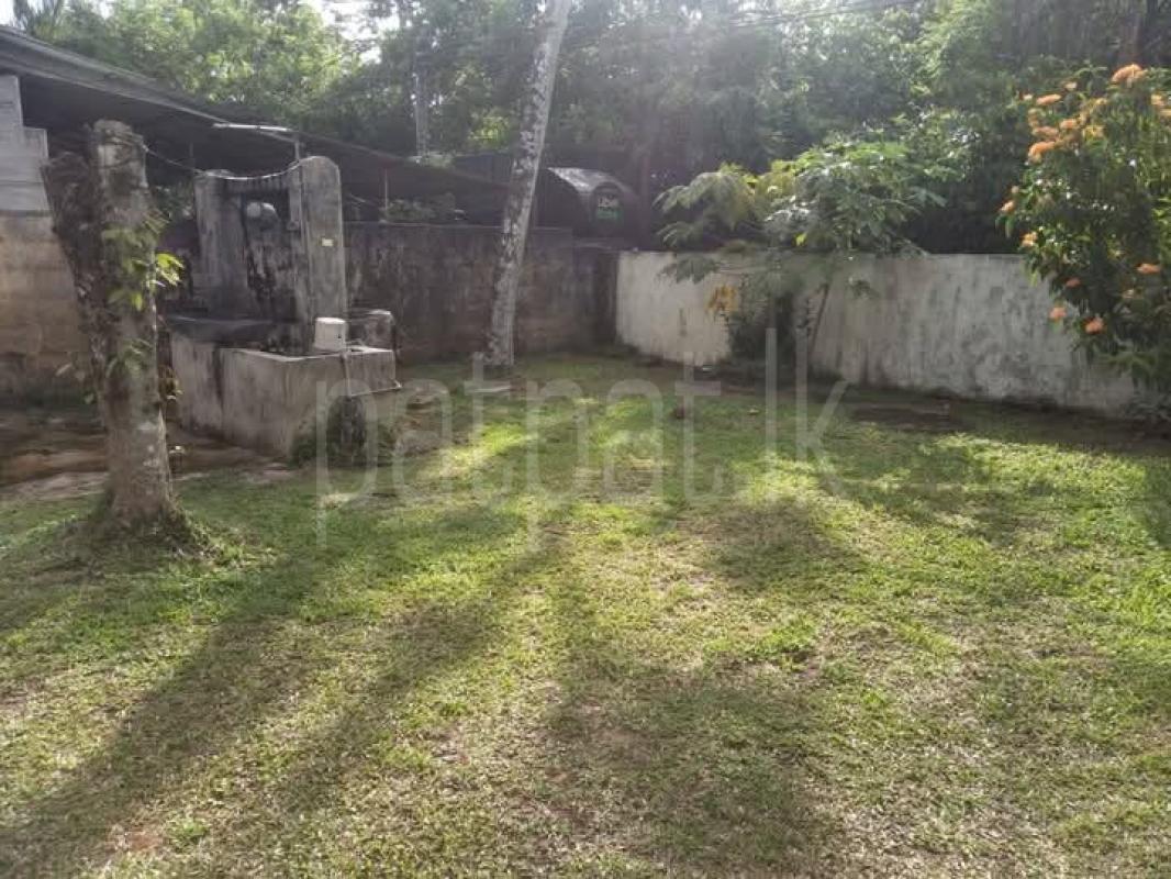Agricultural Land for Sale in Piliyandala