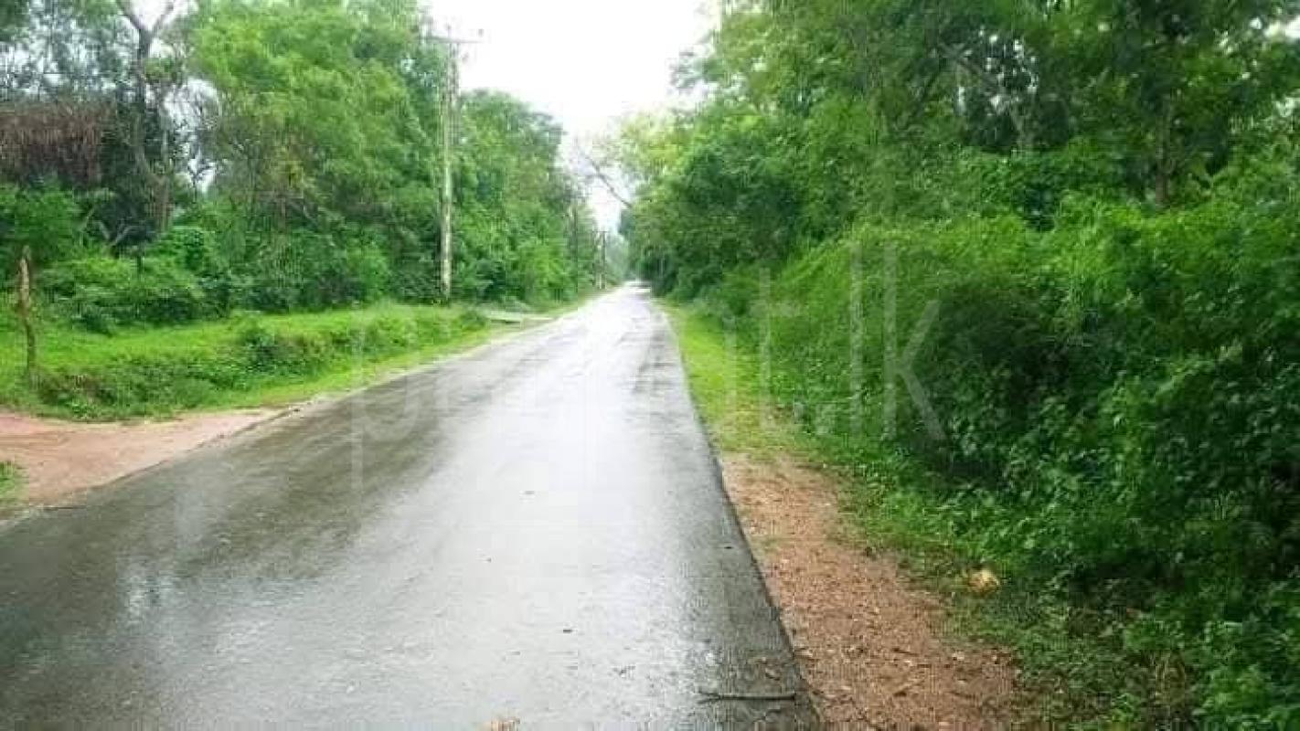 Residential Land for Sale in Kataragama