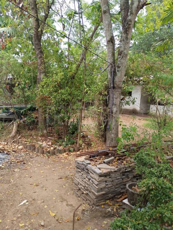 Residential Land for Sale in Kottawa
