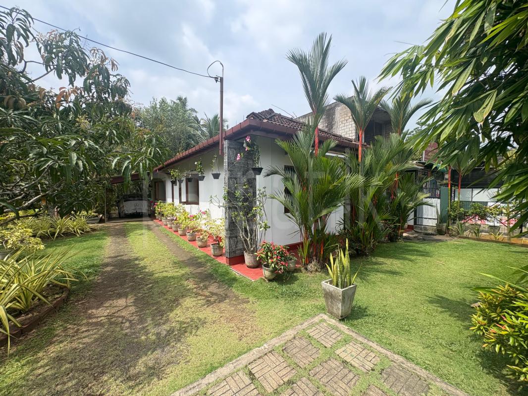 House for Sale in Elpitiya