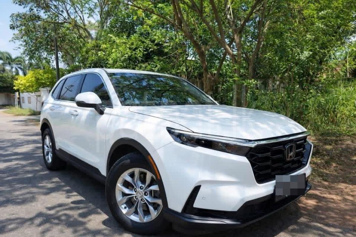 Advertisement image 1