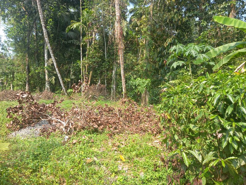 Residential Land for Sale in Horana