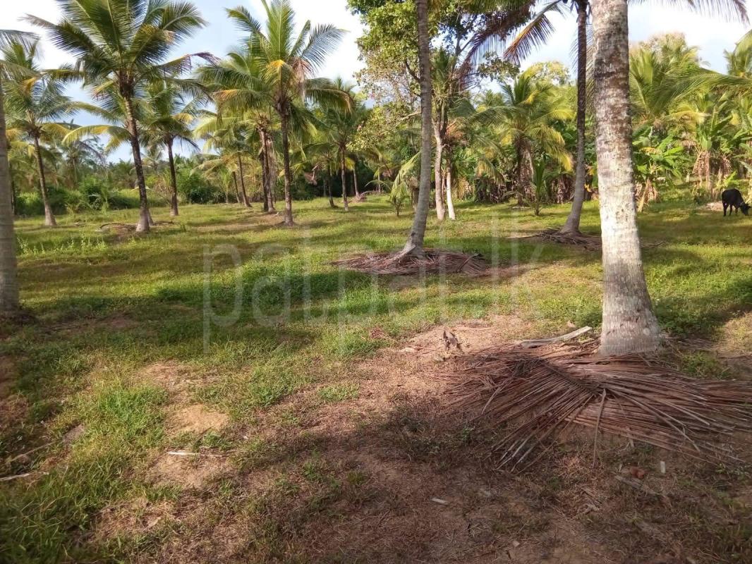 Commercial Land for Sale in Badalgama