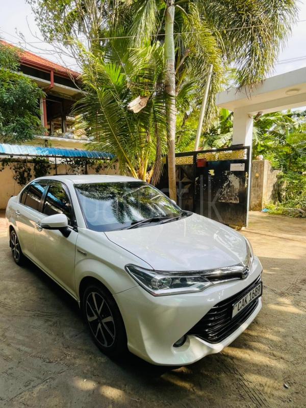 Advertisement image 6