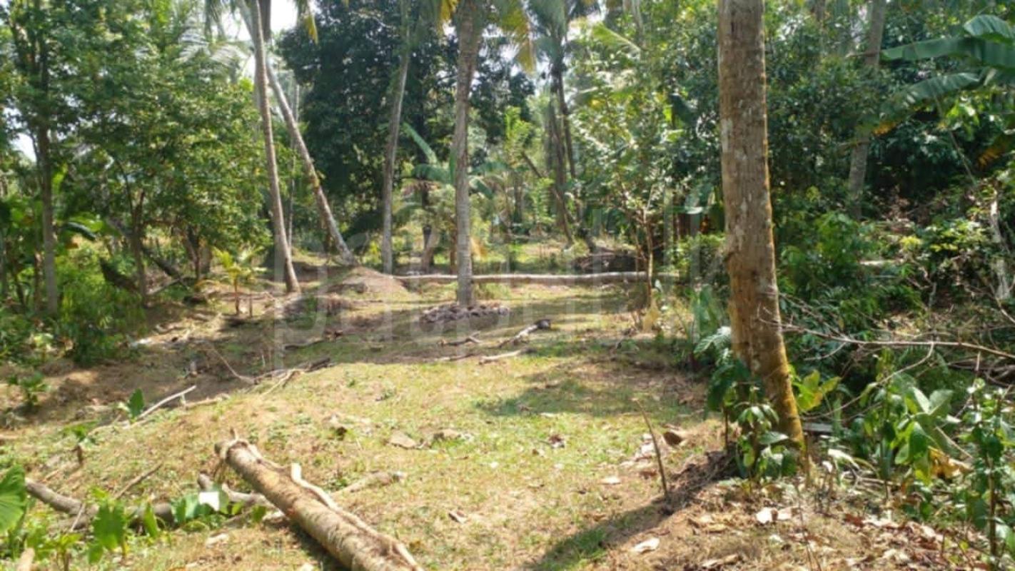 Commercial Land for Sale in Bandaragama ads-image-1