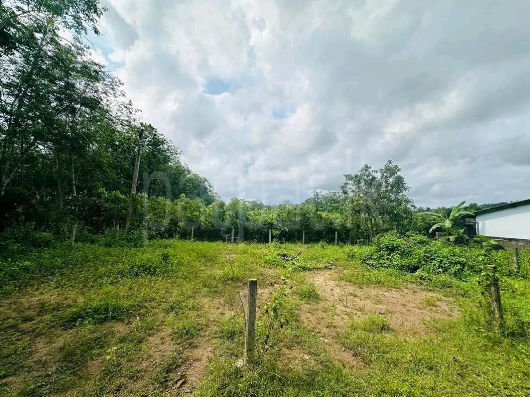 Residential Land for Sale in Panadura