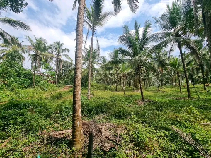 Commercial Land for Sale in Kirindiwela