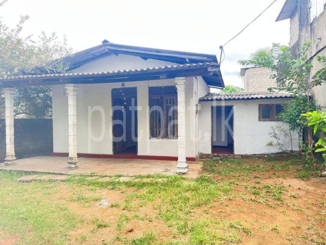 Advertisement image 1