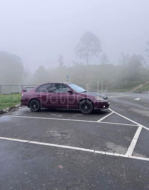 Advertisement image 6