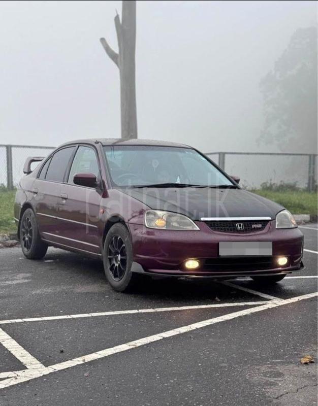 Advertisement image 2