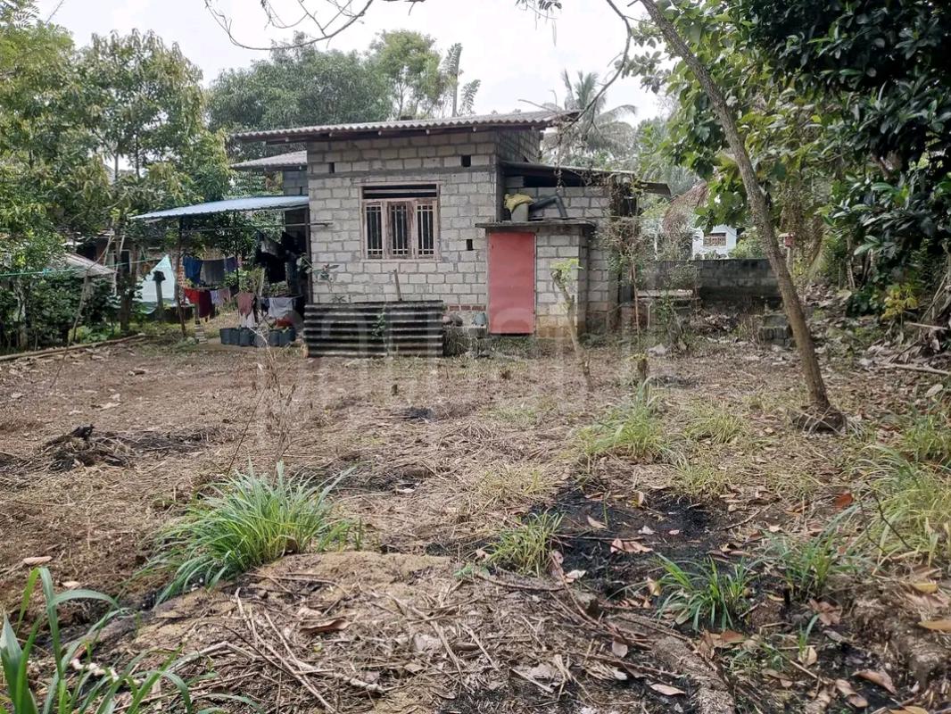 Agricultural Land for Sale in Gampola