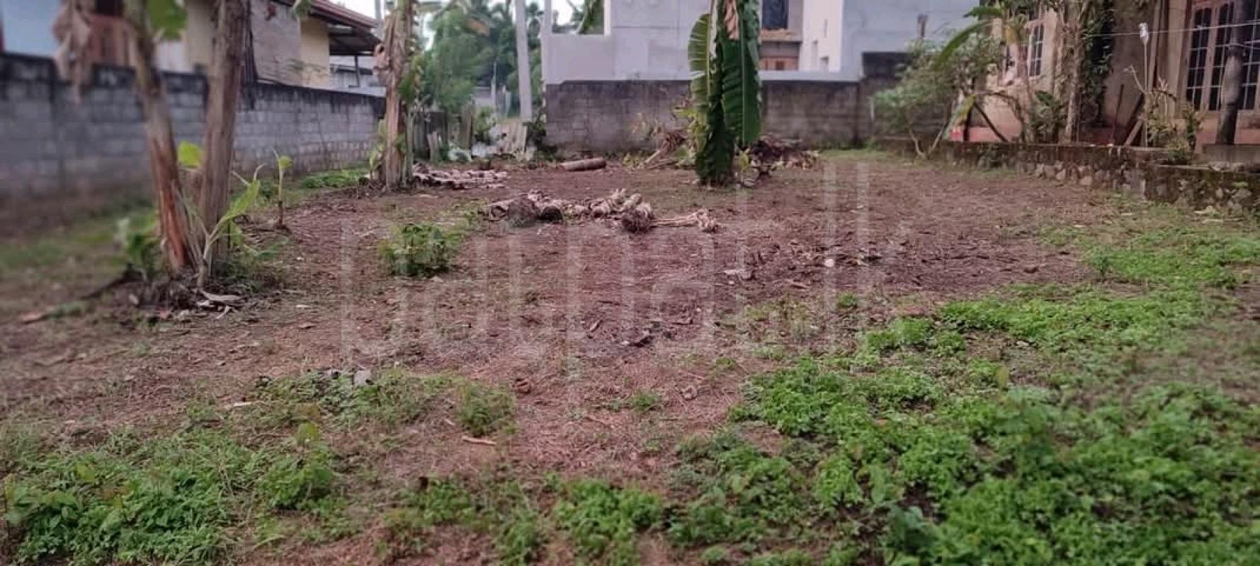 Commercial Land for Sale in Panadura ads-image-1