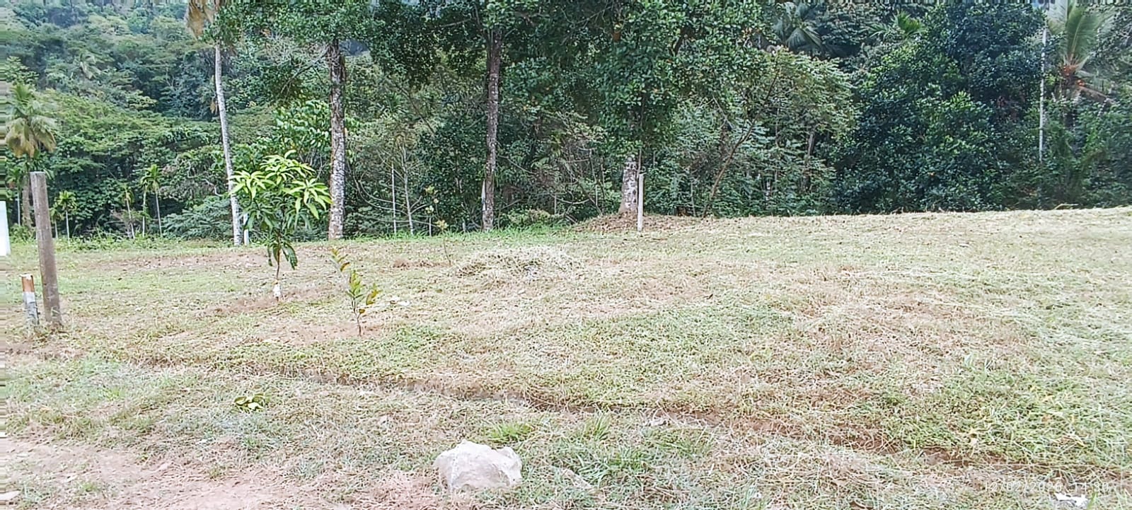 Commercial Land for Sale in Galagedara
