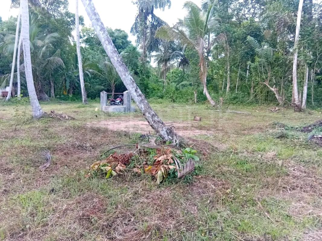 Agricultural Land for Sale in Maho