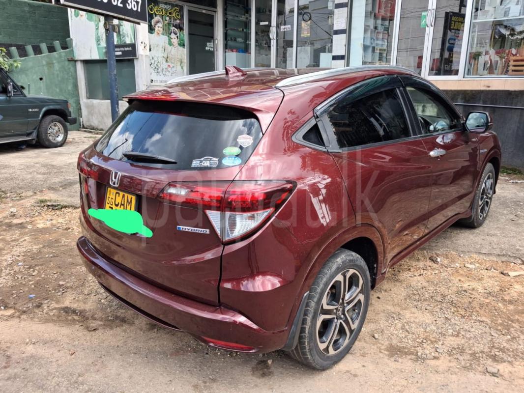 Advertisement image 2