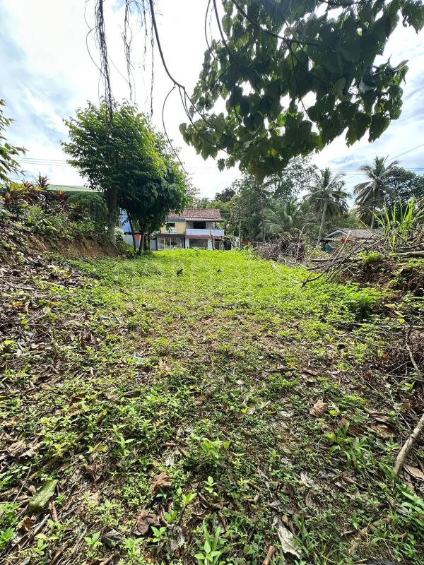 Commercial Land for Sale in Karapitiya